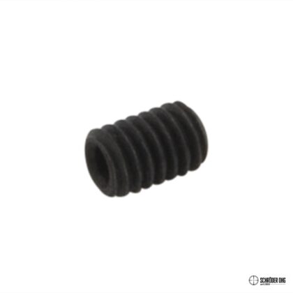 Magazine release locking screw